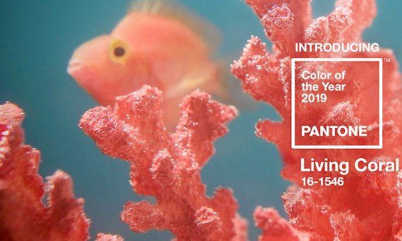 Living Coral - kolorem roku  2019, według Instytutu Pantone.